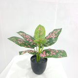Water Arum - Artificial Plant Silk Leaves