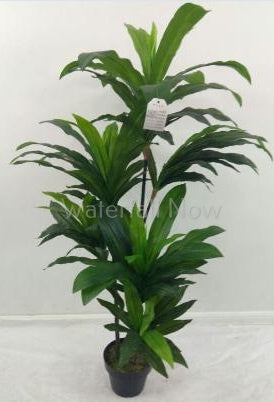 Dracaena - Artificial tree - 140cm