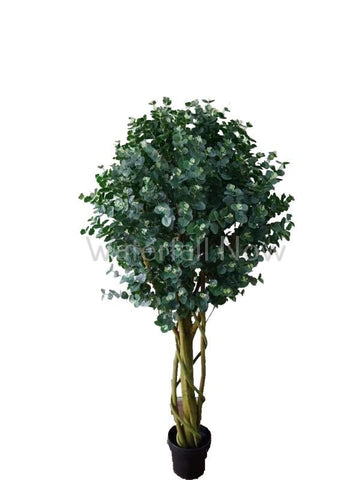 Eucapyptus - Silk Tree - 160cm