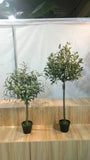 Artificial Olive Trees